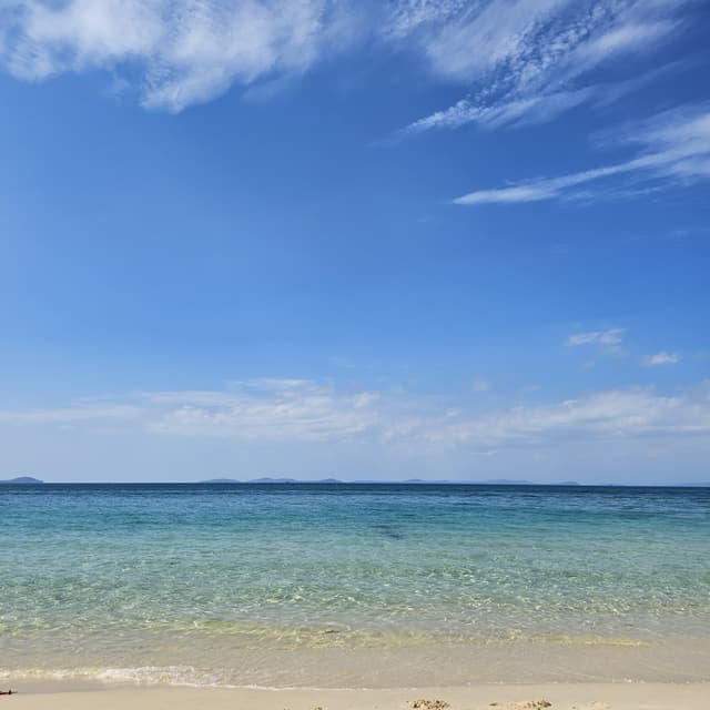 Phu Quoc’s Amazon Tour - Multi-experience Journey in the North of Phu Quoc 