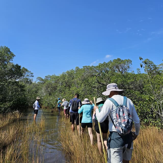 Phu Quoc’s Amazon Tour - Multi-experience Journey in the North of Phu Quoc 