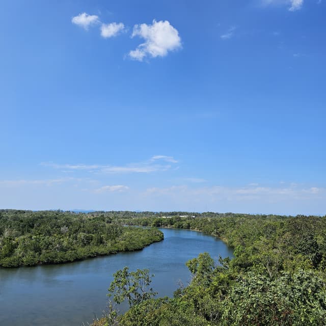 Phu Quoc’s Amazon Tour - Multi-experience Journey in the North of Phu Quoc 