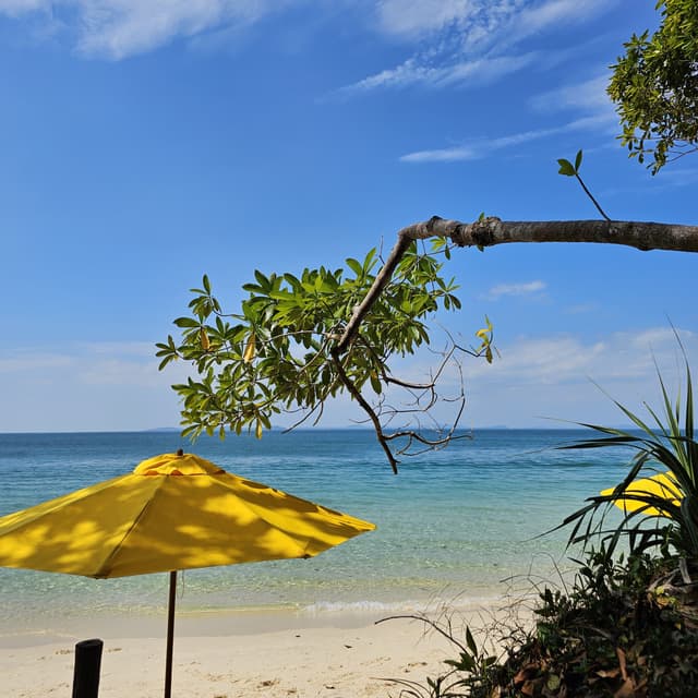 Phu Quoc’s Amazon Tour - Multi-experience Journey in the North of Phu Quoc 