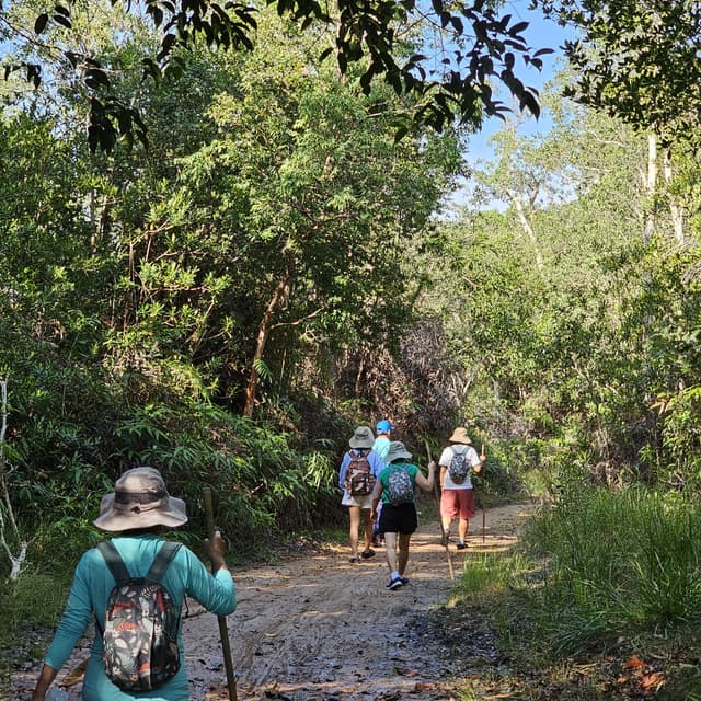 Phu Quoc’s Amazon Tour - Multi-experience Journey in the North of Phu Quoc 