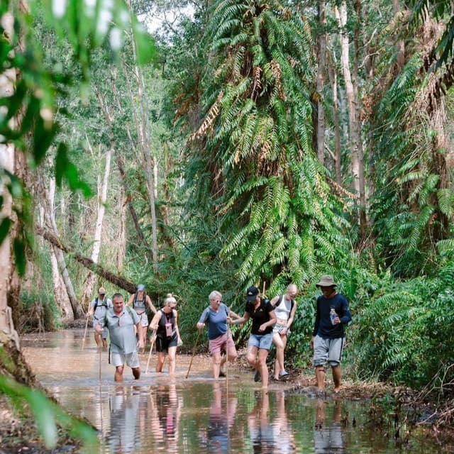 Phu Quoc’s Amazon Tour - Multi-experience Journey in the North of Phu Quoc 