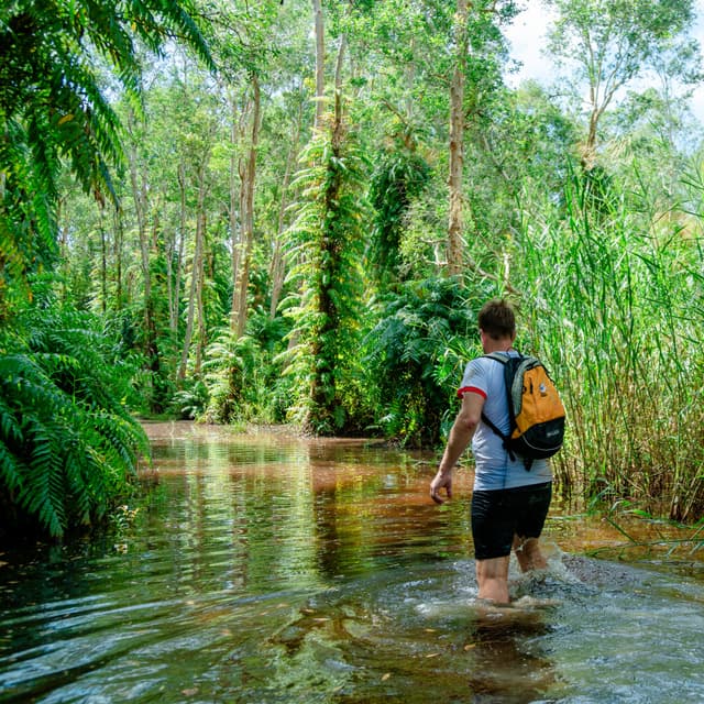 Phu Quoc’s Amazon Tour - Multi-experience Journey in the North of Phu Quoc 
