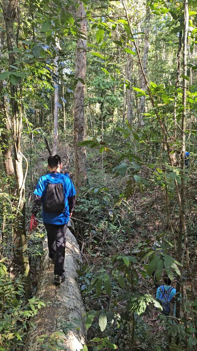 The Grand Konia - Jungle Trekking Tour